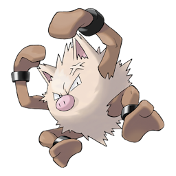 primeape