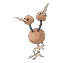 doduo