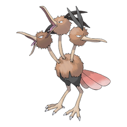 dodrio